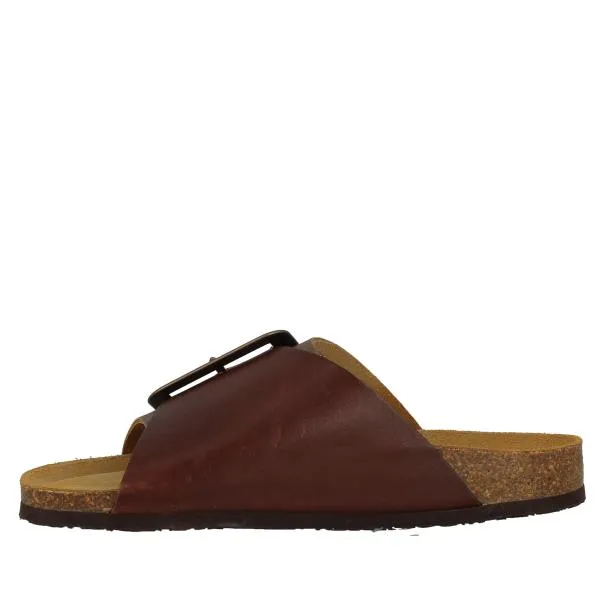 Plakton 185964 Brown Slides