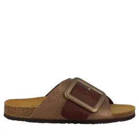 Plakton 185964 Brown Slides