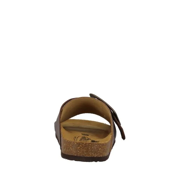 Plakton 185964 Brown Slides